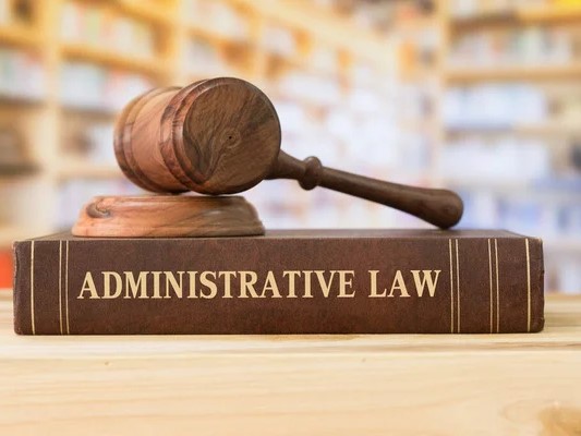 Constitutional Law: Rights, Liberties, and Justice